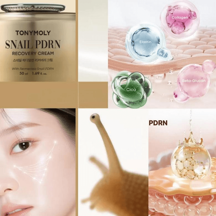 Snail Pdrn Recovery Cream 50ml - Yami.com