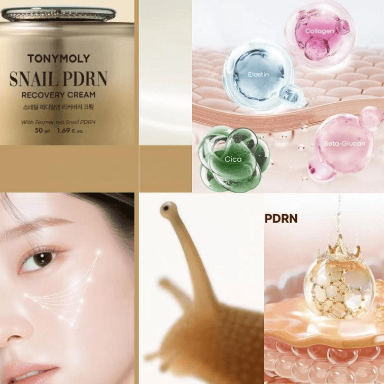 【韓國直郵】 韓國 TONYMOLY 魔法森林 東尼魅力PDRN蝸牛修復乳霜淡化細紋補水保濕營養緊緻晚霜 50ml 4