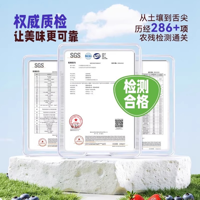 Blueberry Jam, Pure Strawberry Jam, Organic, Additive-Free, 0 Fat, for Bread Spreading, Baking, and Yam Preparation - Premium Blueberry Jam 150g 4