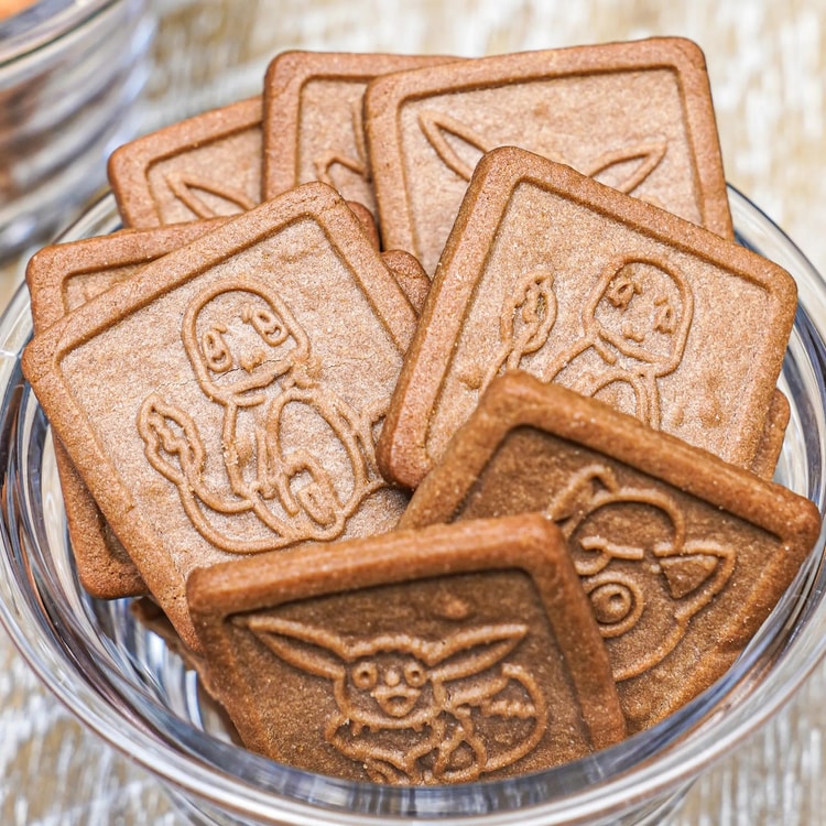 LEDAXUETANG ポケモン型クッキービスケット チョコレート味
