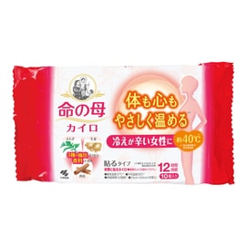 KOBAYASHI Inochi no Haha Kairo Menstrual Pain Relief Heating Pad 10pcs