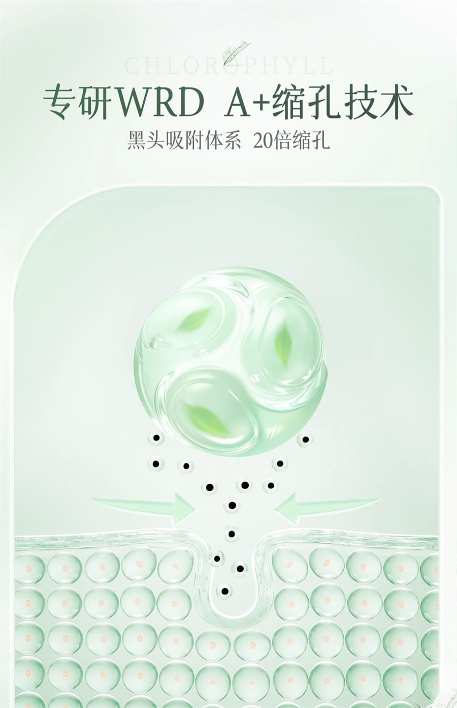 【中國直送】 日本 BUST BUV 葉綠素氨基酸細嫩潔面乳洗面奶收縮毛孔控油溫和深層清潔男女 100g