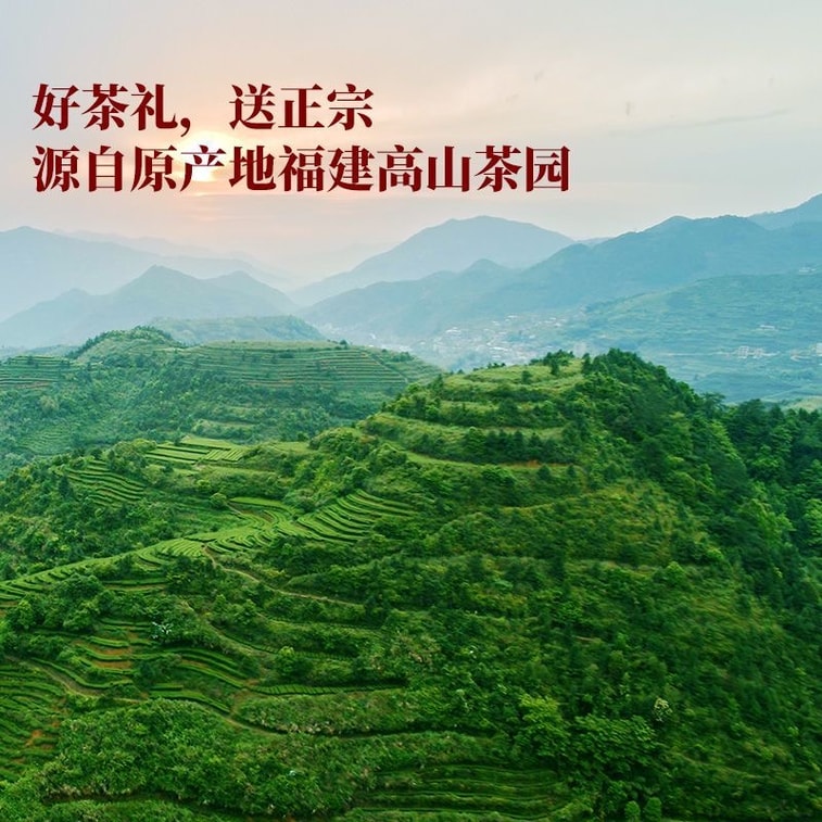 【中国直送】八馬茶業 高級安渓鉄観音 試飲パック 14g（2煎）*3箱 6