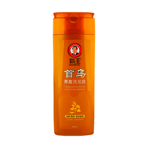 Nourish Hair Shampoo Shine 13.53oz