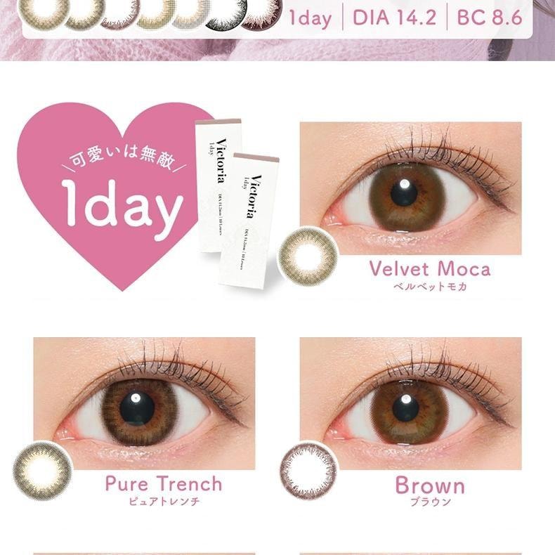 【日本美瞳/日本直郵】Victoria 日拋美瞳 10片裝 Pure Trench「棕色系」 度數-1.00(100)預定3-5天 DIA:14.2mm | BC:8.6mm