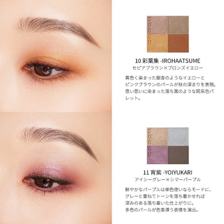 Eye Shadow Palette 6.2g   #11 Night Purple 6