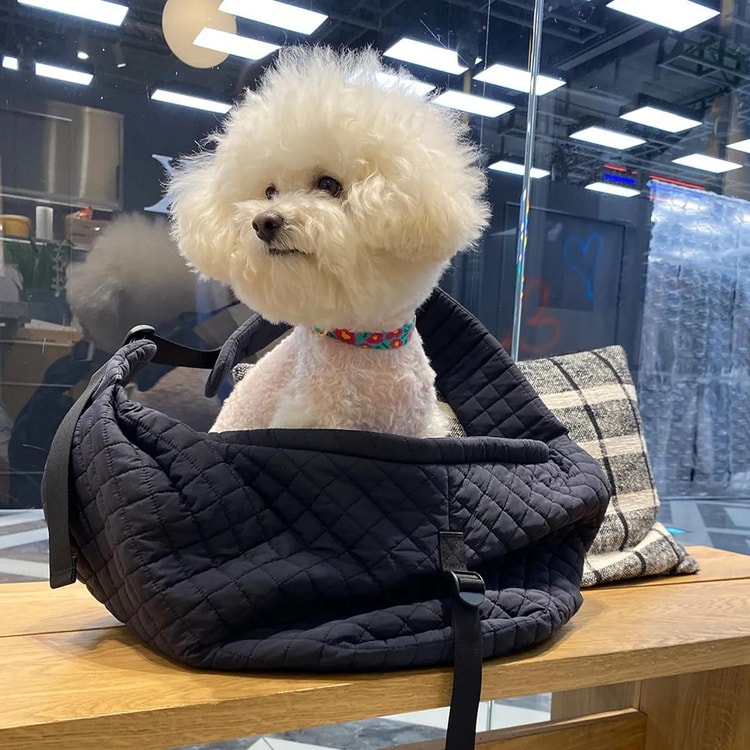 iCANDOR Dumpling Bag: Stylish & Practical Hands-Free Pet