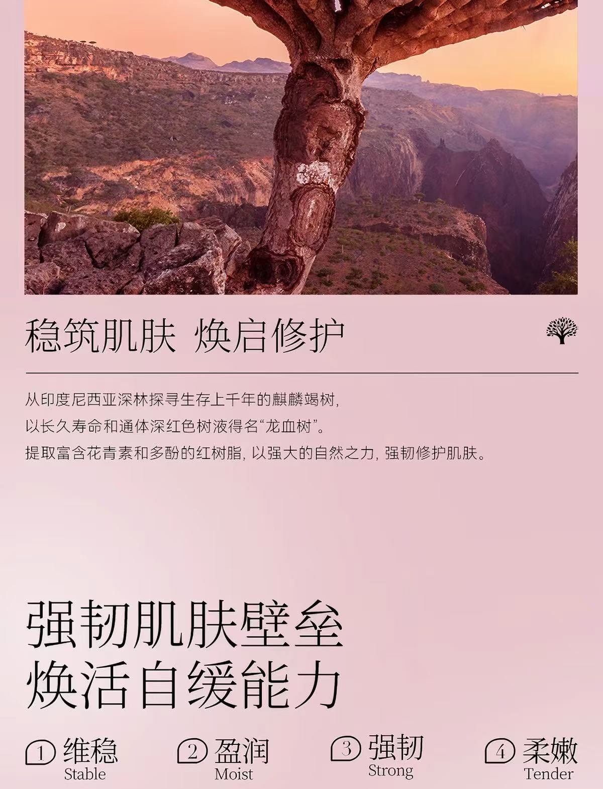 FAN BEAUTY DIARY FanBeauty 麒麟竭菌菇丝发酵修护面膜 龙血面膜【敏感肌维稳舒缓】急救补水保湿修复 舒缓祛红维稳强韧 32ml*5片