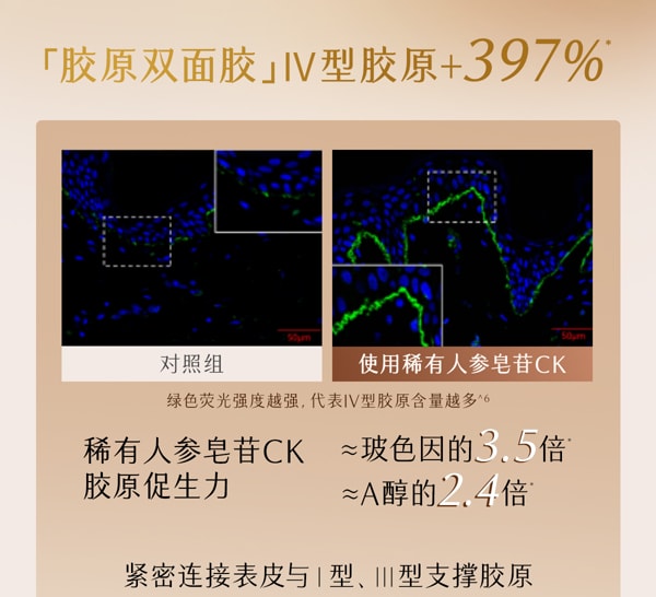 谷雨 山参胶原霜面霜【4h嘭胶原】【2周紧轮廓】【更适合亚裔肤质】【高倍抗皱】 紧致抗皱 保湿修护美白30g