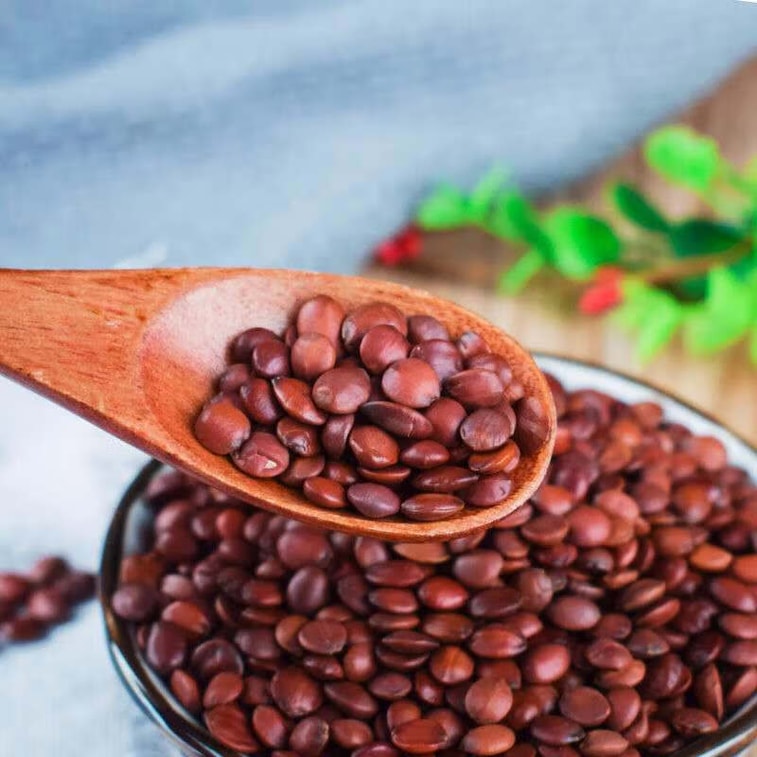 【Expédition directe du Canada】 Sifanda Boisson apaisante aux graines de jujube 100g (5g×20p) Graines de jujube, Poria cocos, Polygonatum, Lys Thé bonne nuit, boisson à infuser au quotidien, indispensable au bureau, cadeau de fête Moment de bonne nuit, une tasse suffit 3