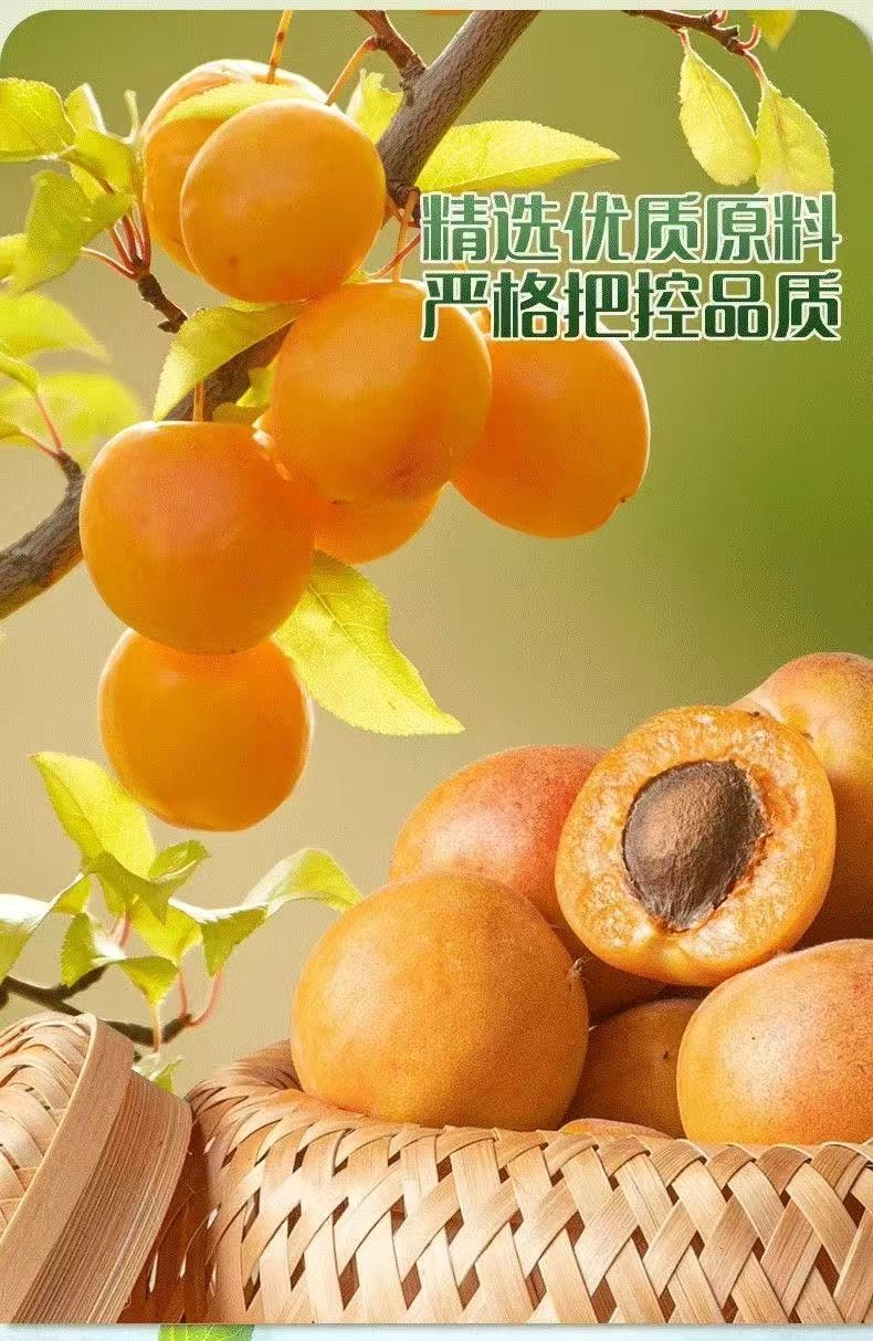 春江月 勁涼梅肉皇80g*1袋 薄荷梅肉 潮汕風味梅肉果脯蜜餞話梅果脯