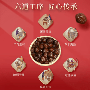 Oral Throat Fresh Green Plum Cooling & Moisturizing Candied Fruit Packaged Individually 100g *1 Pack