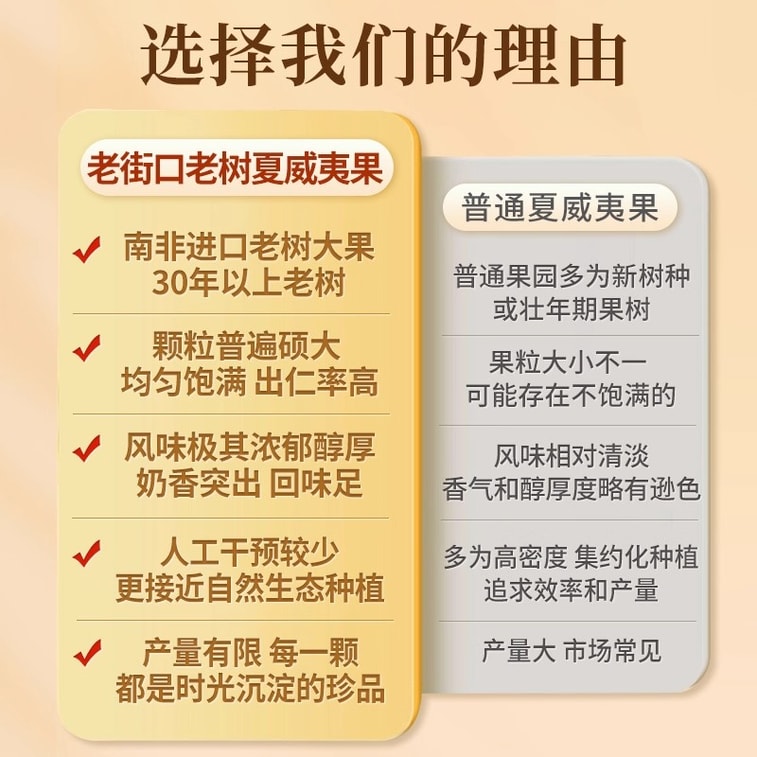 【中國直郵】 老街口 澳洲堅果奶油口味 堅果休閒點心新貨乾果孕婦健康果仁250g/袋 4
