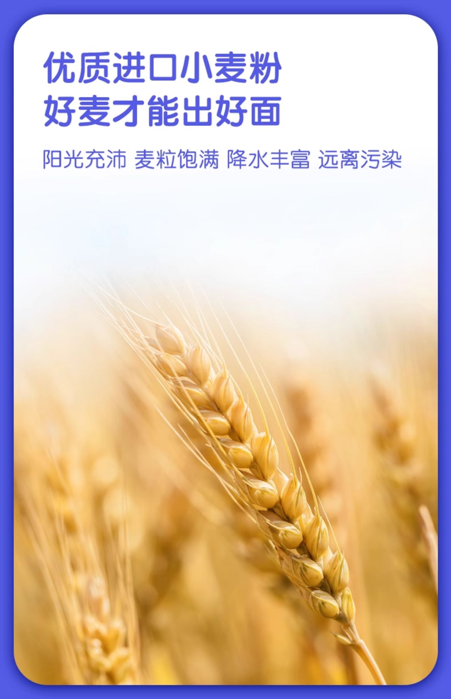 【中国直邮】 美国 亨氏 婴儿6个月辅食粒粒面碎碎面营养面条鳕鱼胡萝卜营养粒粒面192g/盒