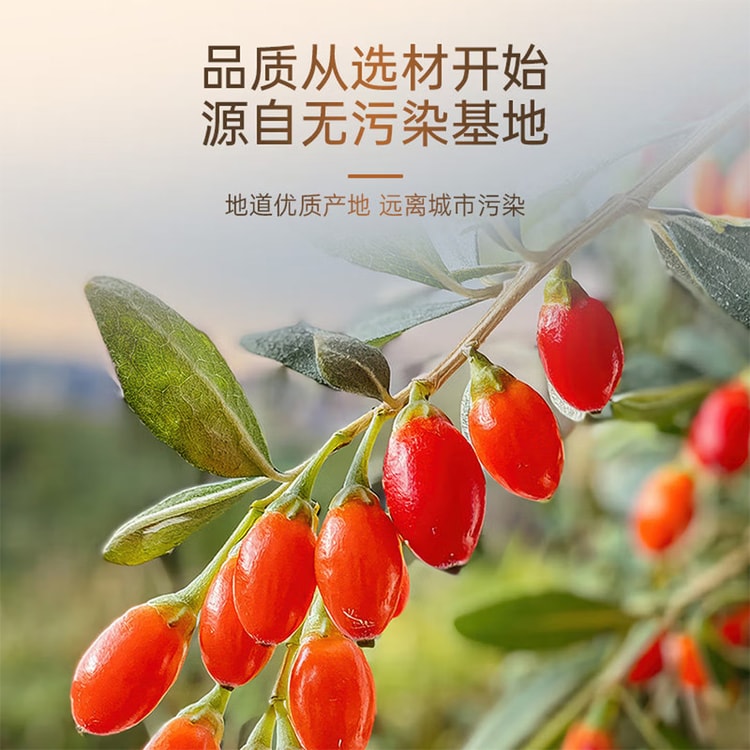Sulfur-Free Premium] Jun Yan Red Goji Berries 300g, Sun-Dried, No