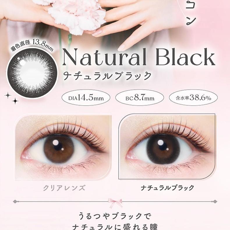【日本美瞳/日本直郵】新木優子evercolor 1day Natural 日拋美瞳Pearl Snow Gray 珠光灰「灰色系」20片裝預定3-5天度數-2.25(225) DIA:14.5mm | BC:8.7 mm