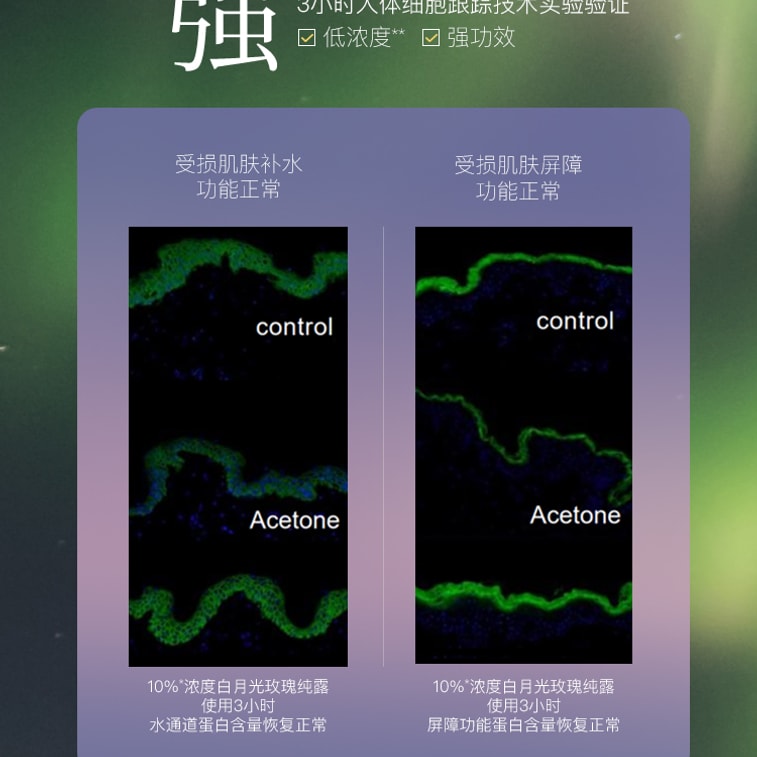 【中國直郵】阿芙 極光玫瑰純露 白月光玫瑰 抗氧化修護保濕 125ML [董潔同款] 3
