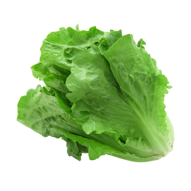 绿叶生菜1个