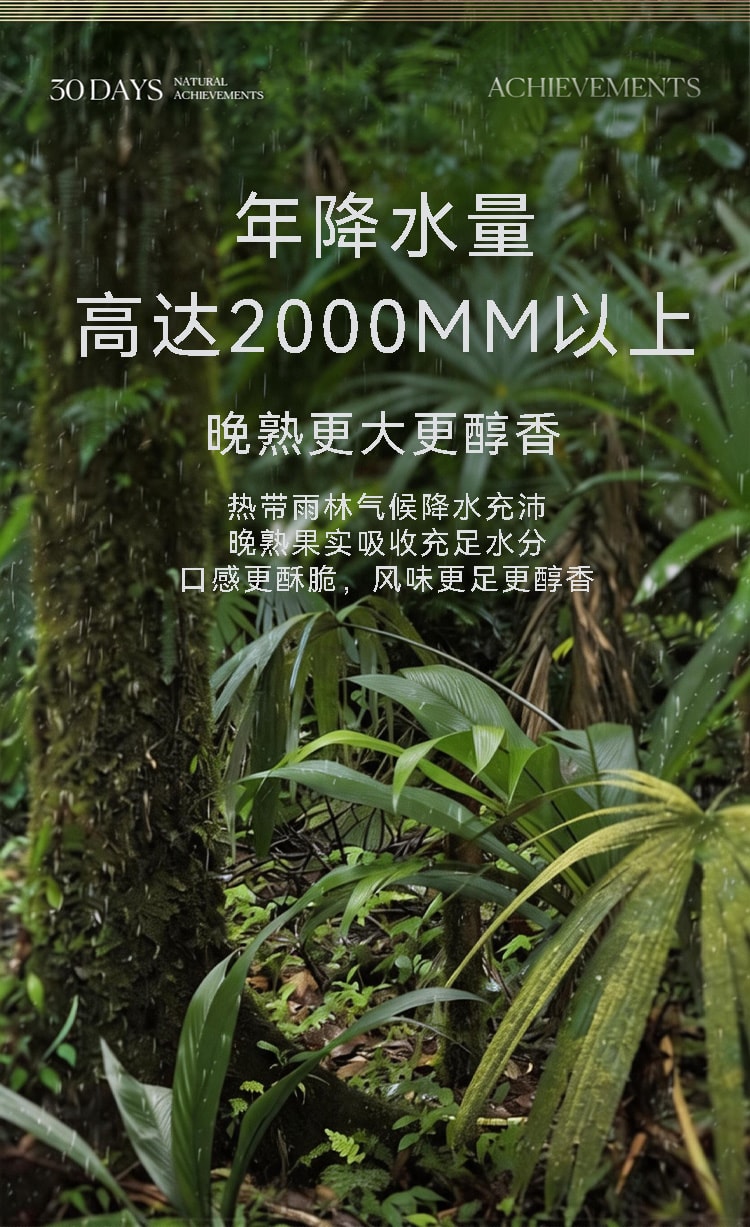 觅菓 富硒鲍鱼果仁巴西坚果当季新货原味补硒大颗粒坚果零食AA+299g
