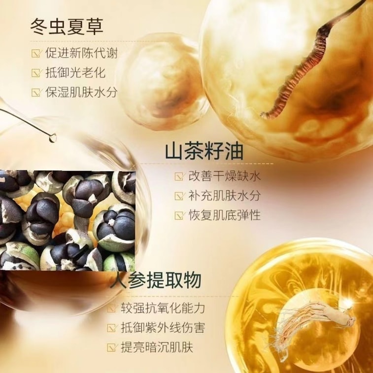 [중국 직송] 멍실란 동충하초 니아신아마이드 피부 영양 브라이트닝 크림 미백, 탄력 및 주름 개선 크림 50g/박스 3