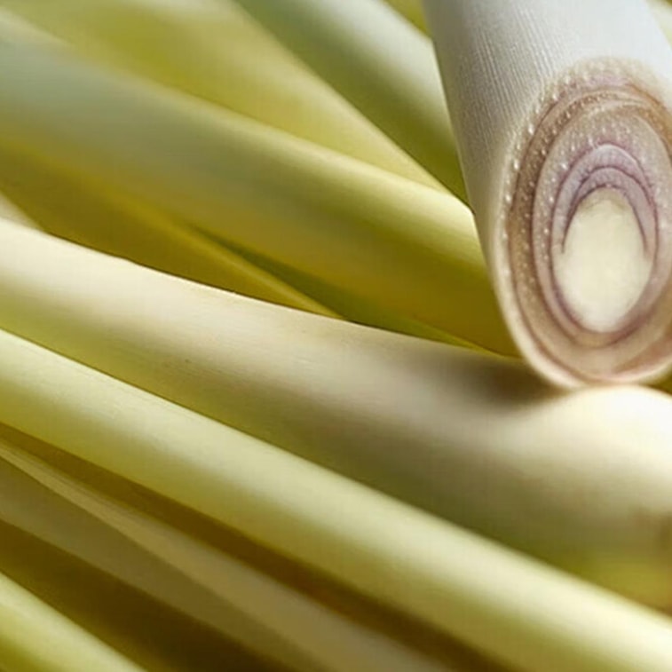 哪吒 竹甘蔗茅根水 草本植物飲 300g【清新喉頭降燥】 4