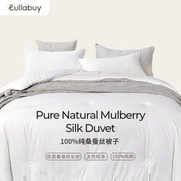 【中国直邮】Lullabuy桑蚕丝被子 100%纯桑蚕丝被芯 白色 Double Size 4KG