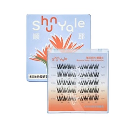 Segmental False Eyelashes Novice Naturally-Strelitzia Reginae 1Box