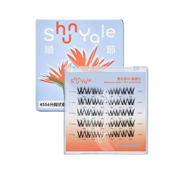 Segmental False Eyelashes Novice Naturally-Strelitzia Reginae 1Box