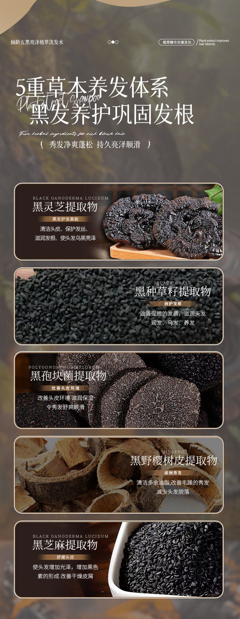 倾龄 五黑亮泽植萃洗发水 柔顺滋润养出五黑秀发改善掉发 500ml/瓶