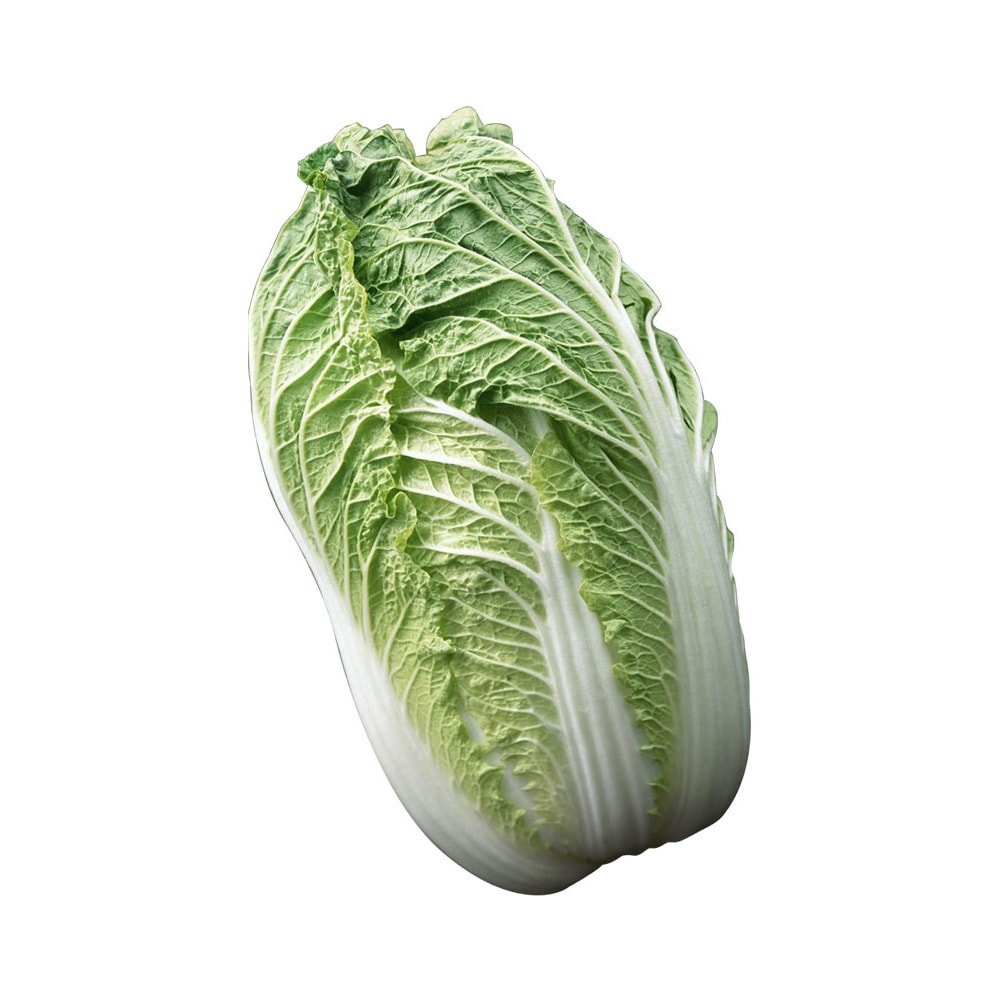 绍菜3545磅怎么样