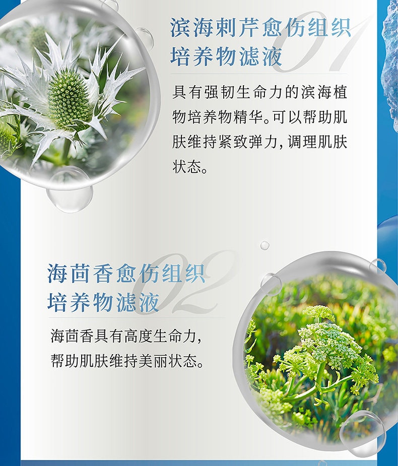 Beauty Force Treatment Mask MW 1sheet