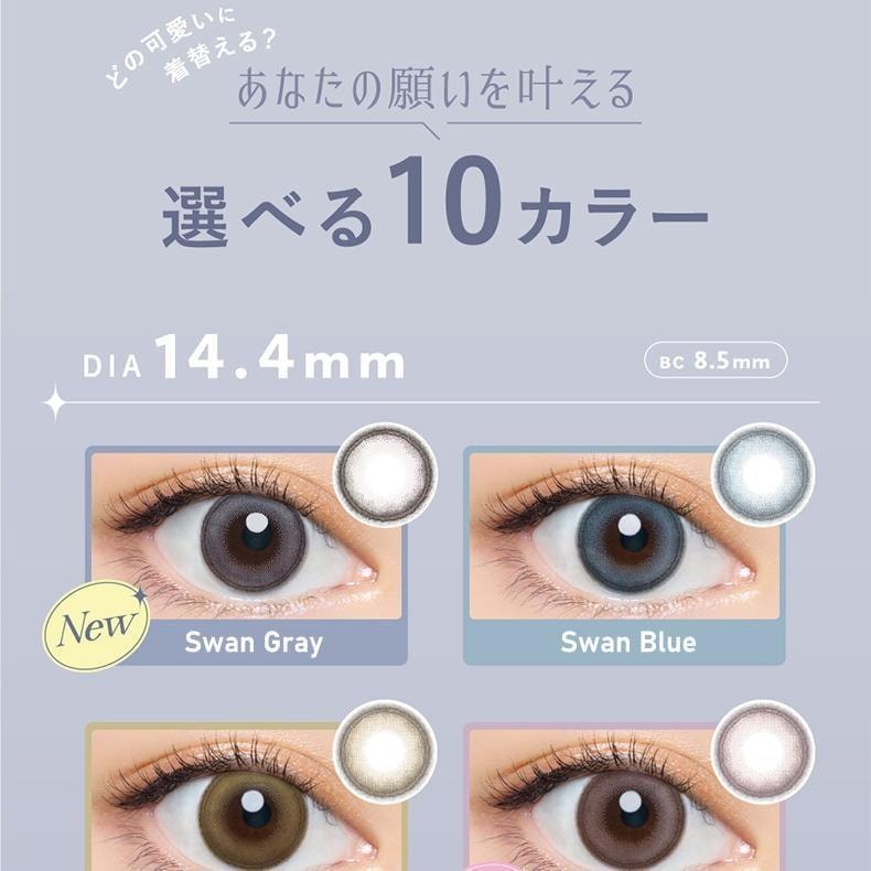 【日本美瞳/日本直郵】Bambi Series 日拋美瞳 10片裝 Swan Gray「灰色系」度數 750(7.50) 預定3-5天 DIA:14.4mm | BC:8.5mm