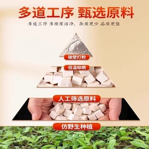 北京同仁堂 茯苓粉 食用正品野生茯苓中药材养护胃健脾祛湿气代餐粉 250g