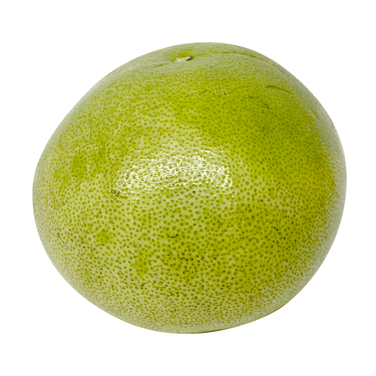 Japanese Yuzu 1.2-1.5lb - Yami.com