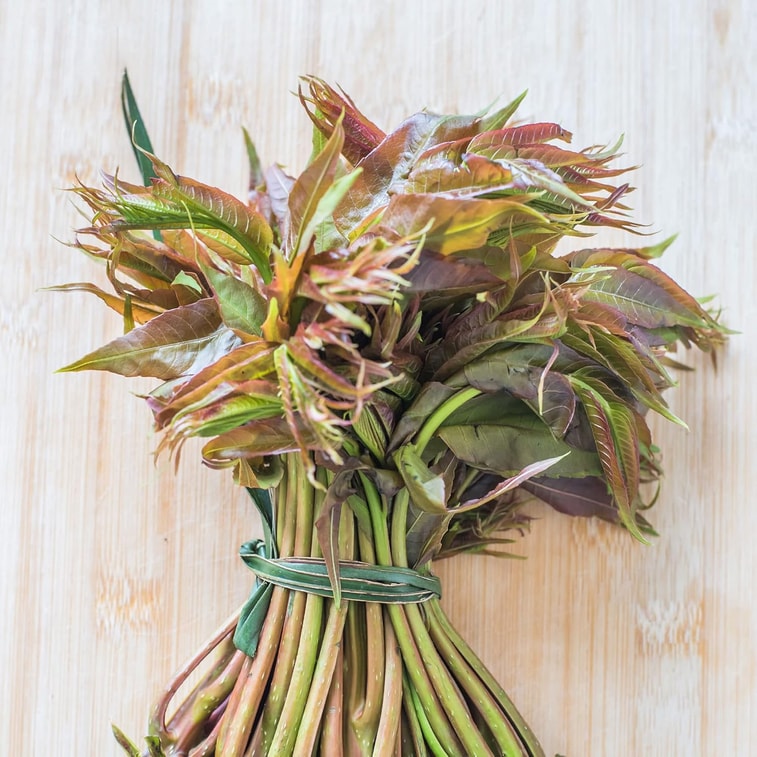 Chinese Toon Sprout Sauce Seasoning Bibimbap Sauce 200g 4