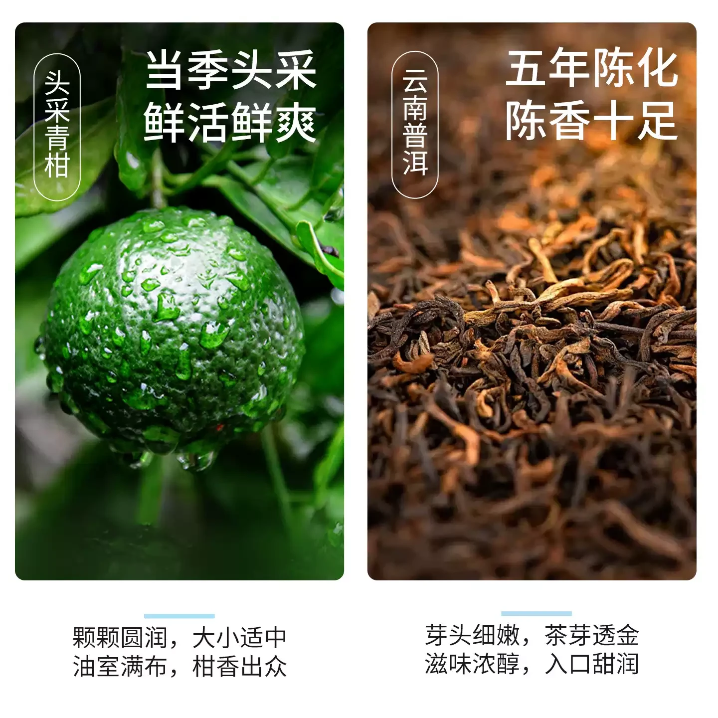 山家芳茗 正宗广东新会小青柑陈皮普洱茶熟茶茶叶【办公室必囤茶饮