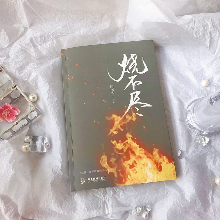 【中國直郵】I READING愛閱讀 燒不盡 6