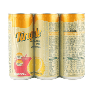 Lemon Apple Cider Vinegar Soda 8.45 fl oz*6 packs 50.7 fl oz【Refreshing & Greaseless】【No Added Sugar】