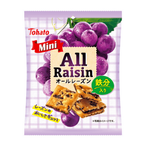 トーハトジャパン 期間限定 鉄分豊富 ヨーロピアン風 グレープサンドミニクッキー 41g