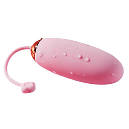 Women's Vibrator Strong Vibration Climax Wireless Remote Control Egg ...