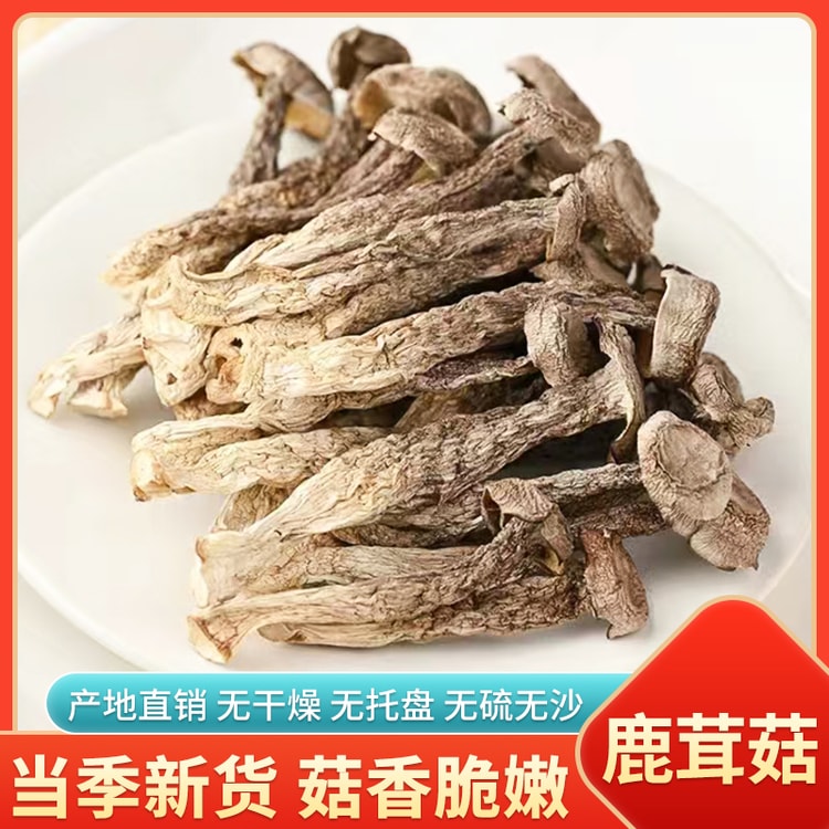 中国直邮】 水月秦淮鹿茸菇干货鹿茸菇特产鹿茸菌天然煲汤食材鲜嫩菌子