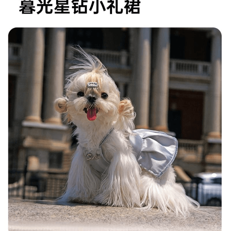 中国直送】 日本 TOUCHDOG 犬用ワンピース ペット服 黒 3-5斤 XSサイズ