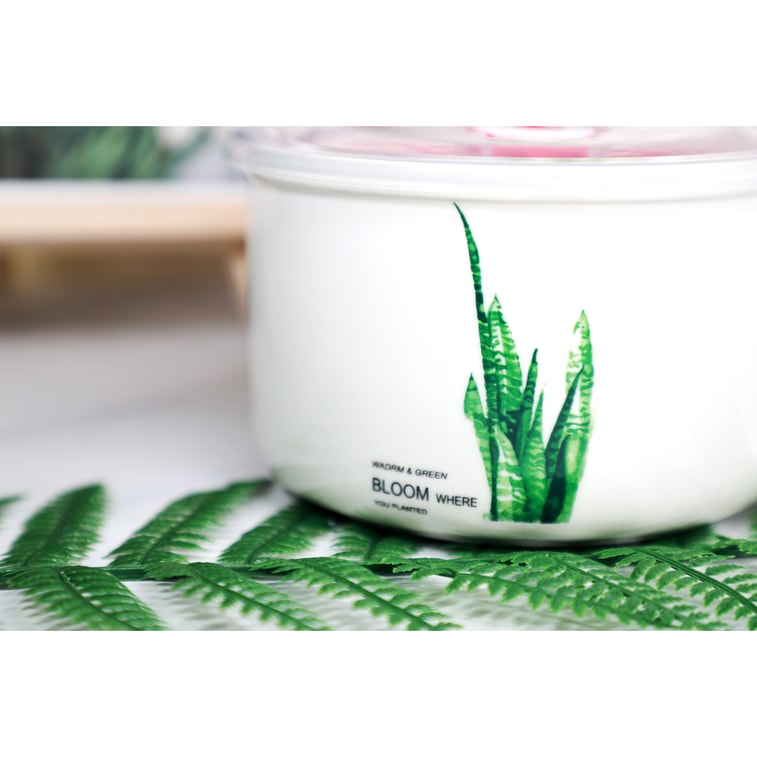 GINKGOHOME Microwavable Ceramic Noodle Bowl with Handle and Seal Fine Porcelain Green Leaf Design - Leaf 4 24oz 3