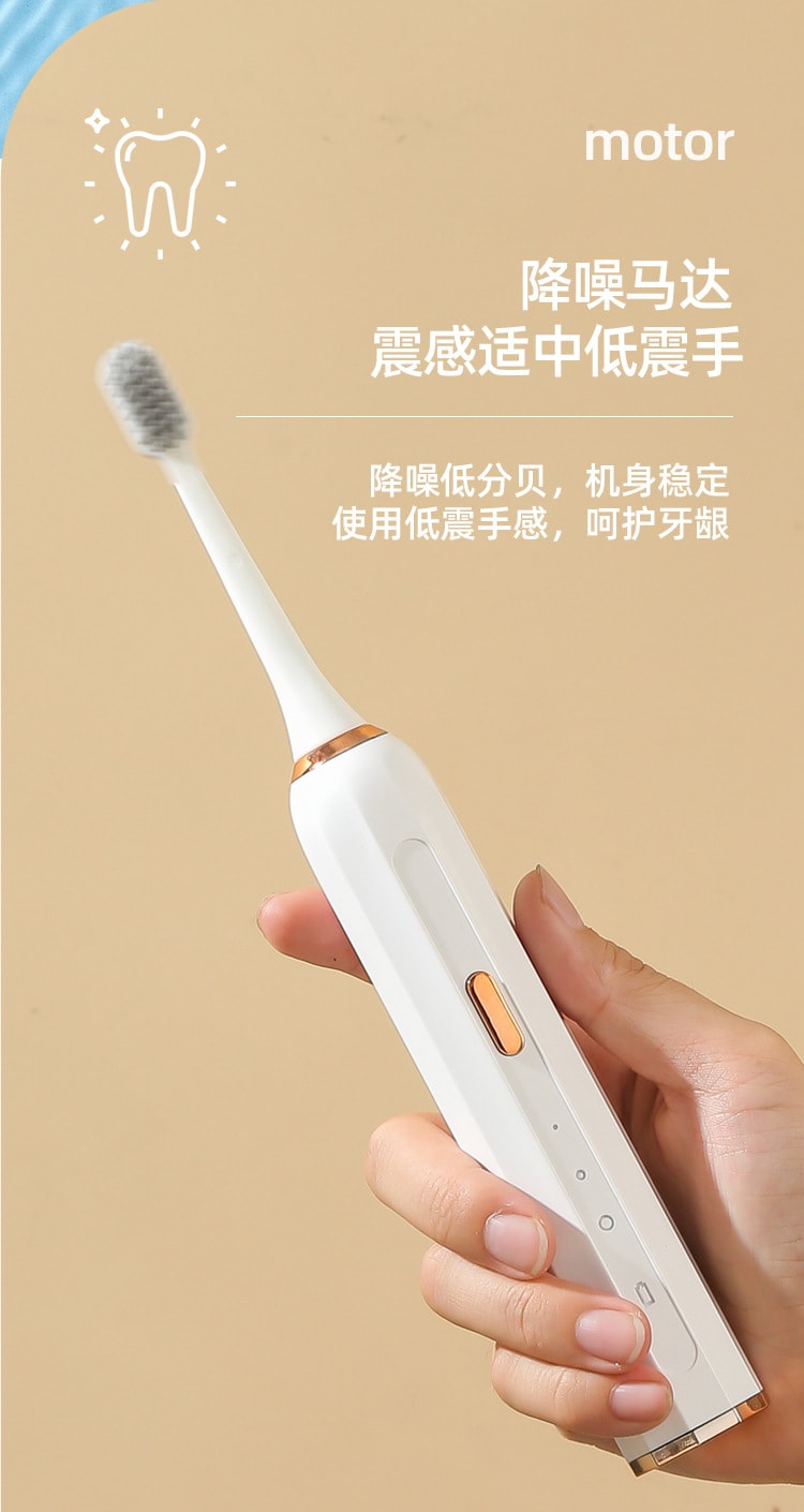 【中國直郵】 多蒙 智慧型電動牙刷USB充電全自動成人款情侶套裝家用防水 1 把