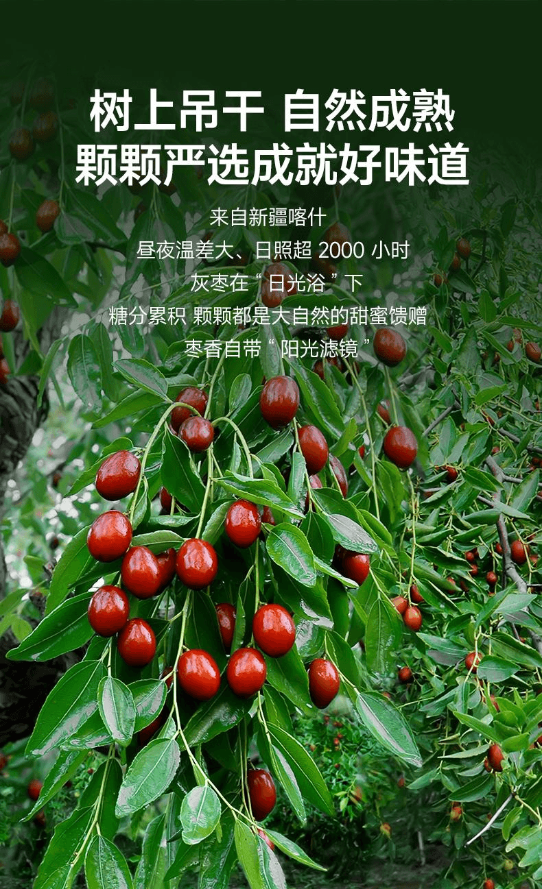 【中國直郵】 維漢 美ONE優選特級去核灰棗0脂肪軟糯香甜460g*1袋