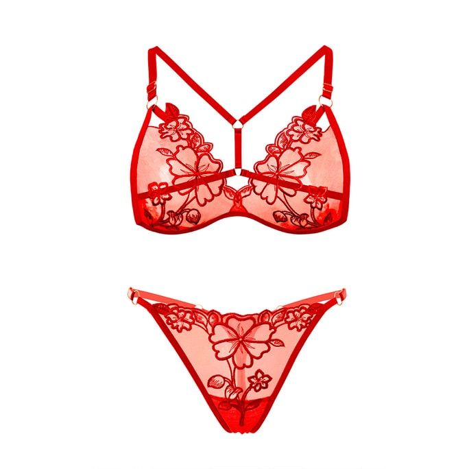 Fun Lingerie Sexy Mesh Embroidery Bra Set Red One Size