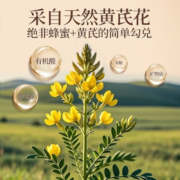 【中国直送】福東海産黄耆蜂蜜 500g 5