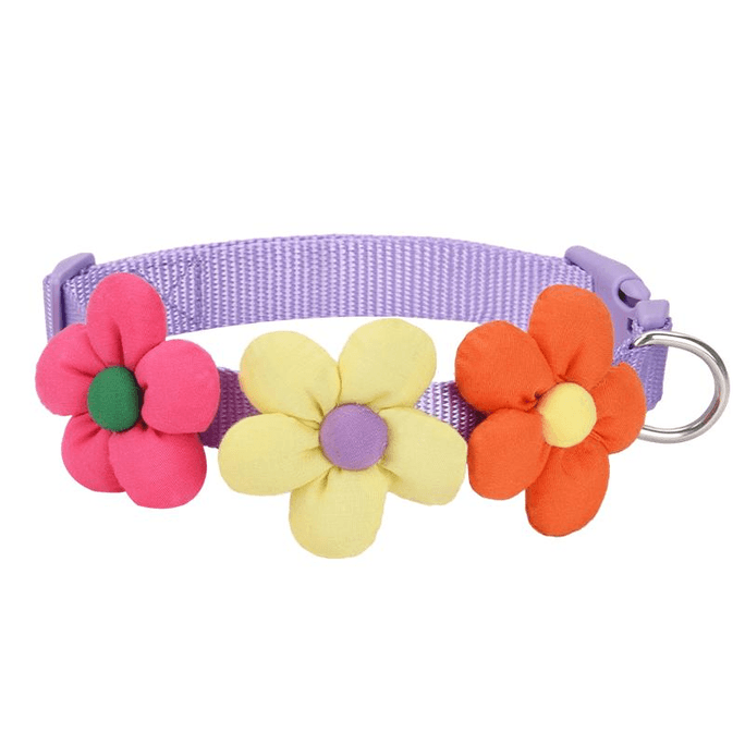 Dog collar Strong pet collar set purple S-code neck circumference 26-42cm about 6-26 kg *1 piece