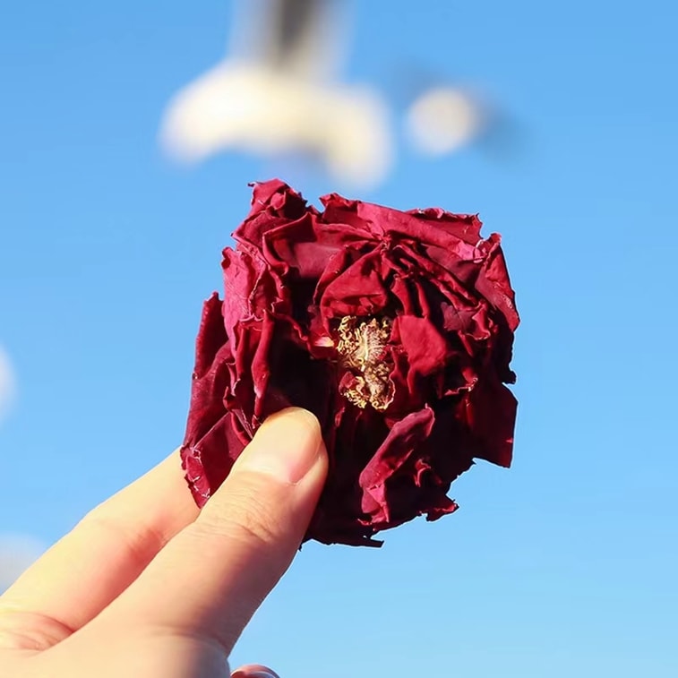 フラワーウィッシュ - カップ1杯につき一輪の花：雲南産フリーズドライ大輪バラ茶、濃い赤色、シーズン初収穫。美と滋養。数量限定。32g（約20±3輪）。 4