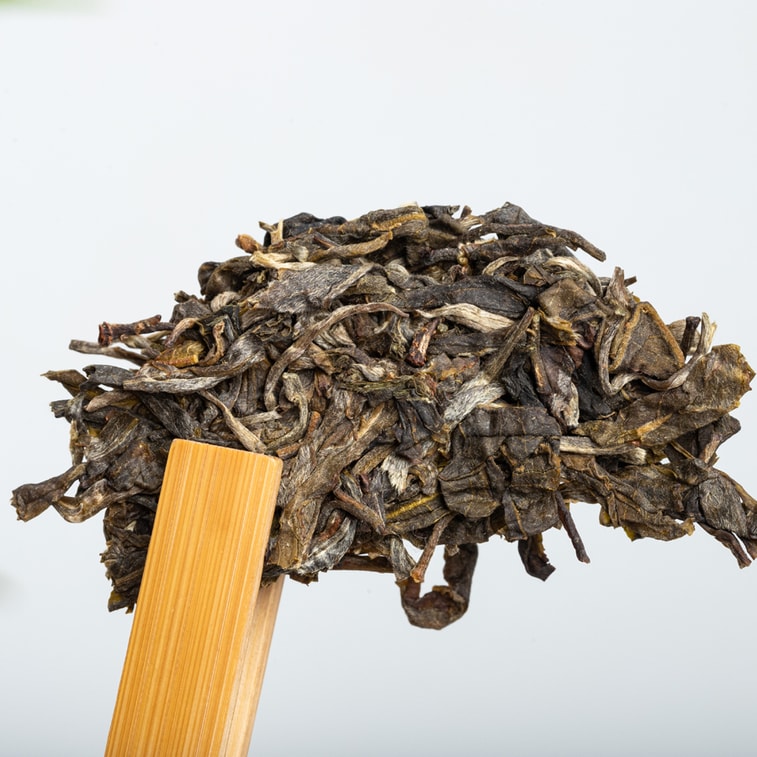 仁新昌 雲南プーアル生茶 景梅古木 2021 生プーアル茶 357g 5